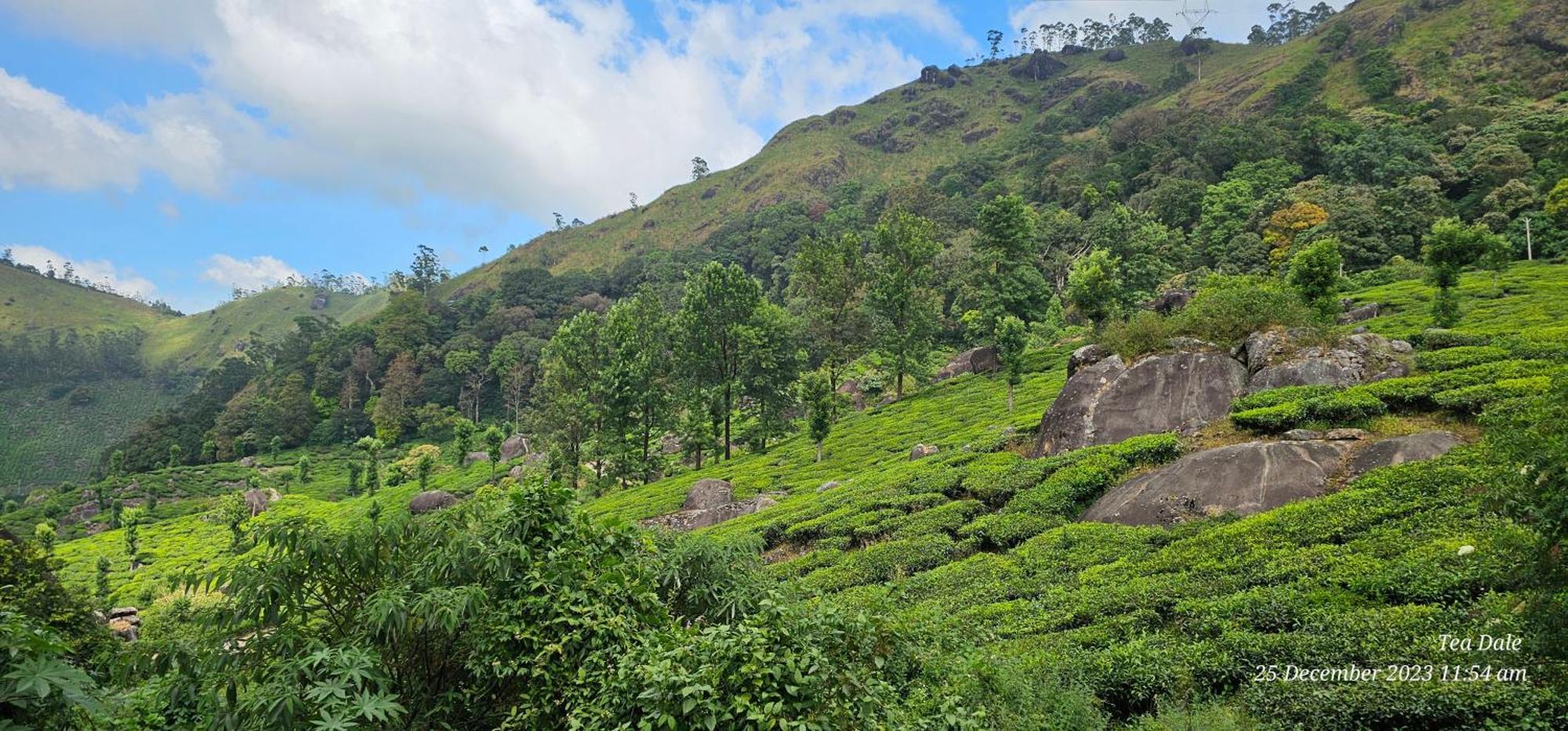 Tea Dale - All Rooms With Tea Estate View Муннар Экстерьер фото