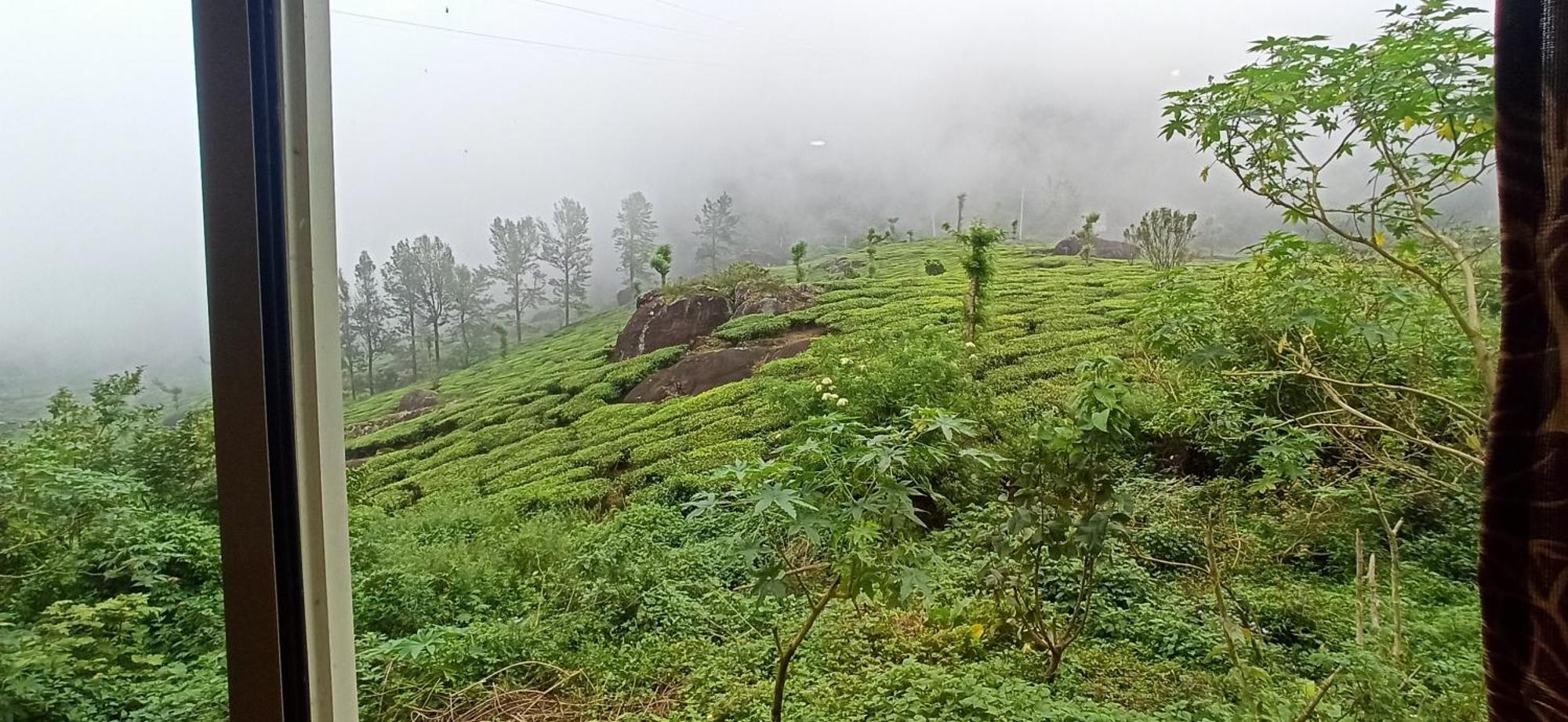 Tea Dale - All Rooms With Tea Estate View Муннар Экстерьер фото