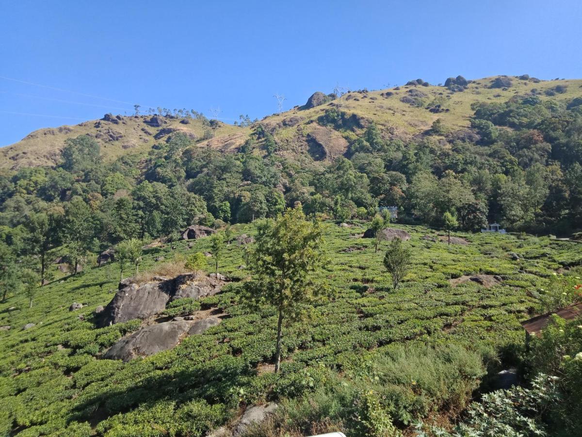 Tea Dale - All Rooms With Tea Estate View Муннар Экстерьер фото